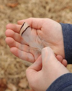 pheasant-feather-hands-584663